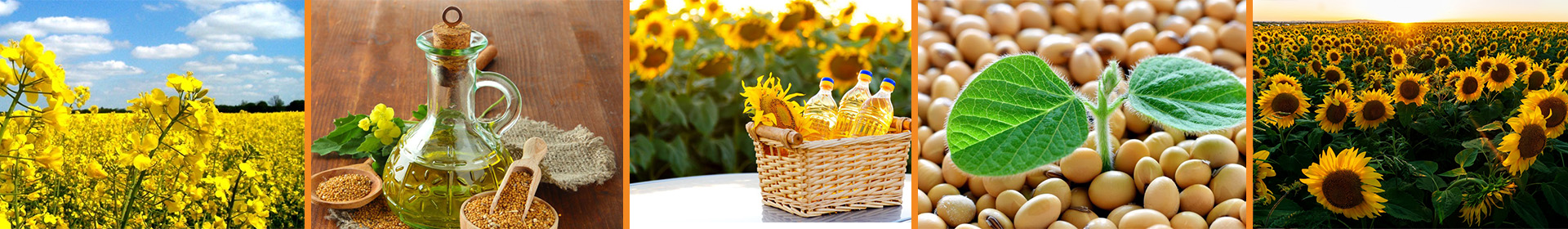 Витебский маслоэкстракционный завод Открытое акционерное общество